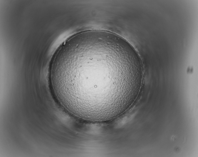 X0000097670103200803142203