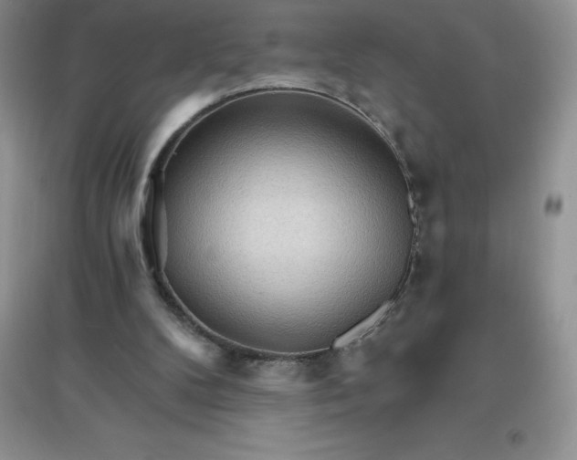 X0000097670104200803142203