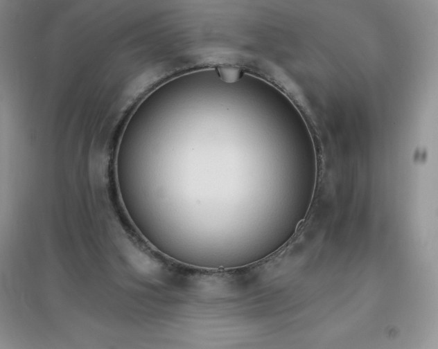 X0000097670106200803142203