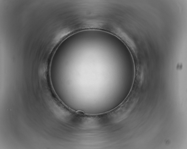 X0000097670107200803142203