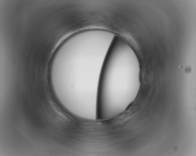 X0000097670108200803142203