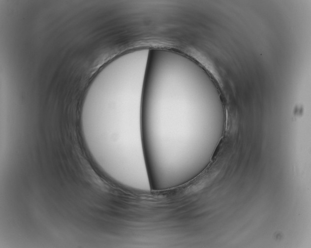 X0000097670109200803142203