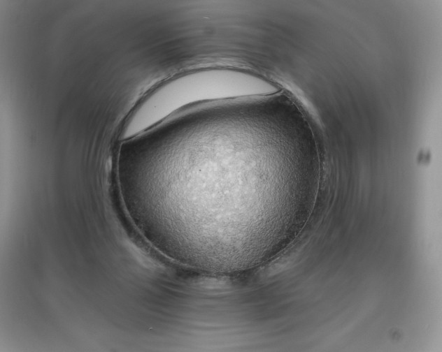 X0000097670110200803142203