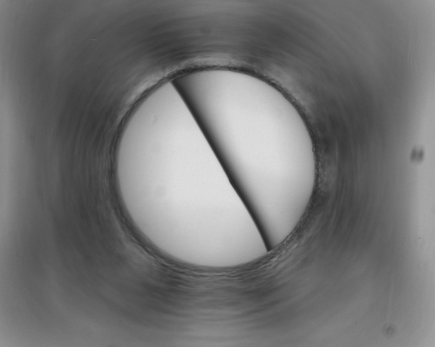X0000097670111200803142203