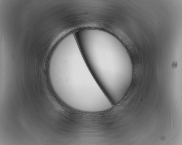 X0000097670112200803142203