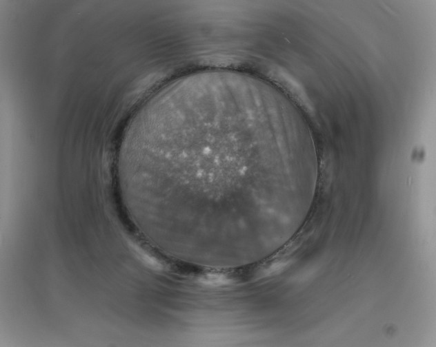 X0000097670114200803142203