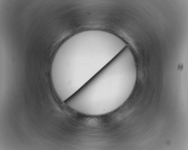 X0000097670115200803142203