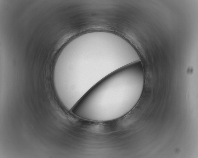 X0000097670116200803142203