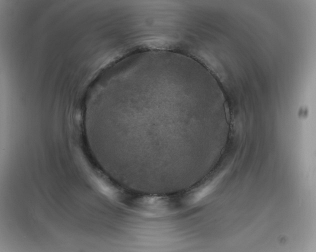 X0000097670117200803142203