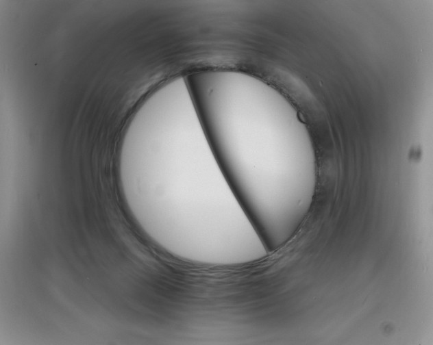 X0000097670120200803142203