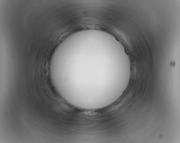 X0000097670121200803142203
