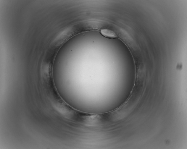 X0000097670122200803142203