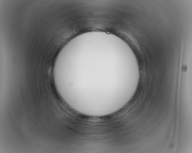 X0000097670123200803142203