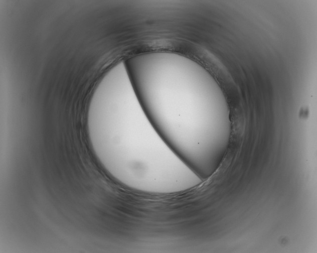 X0000097670124200803142203