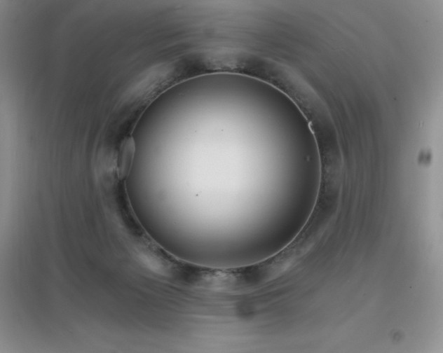 X0000097670125200803142203