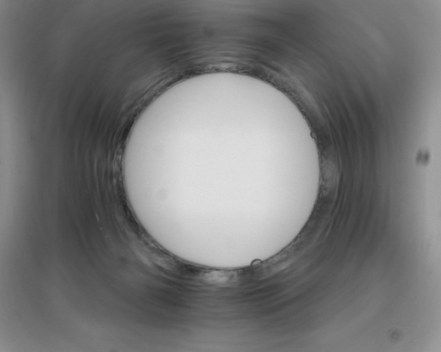 X0000097670126200803142203