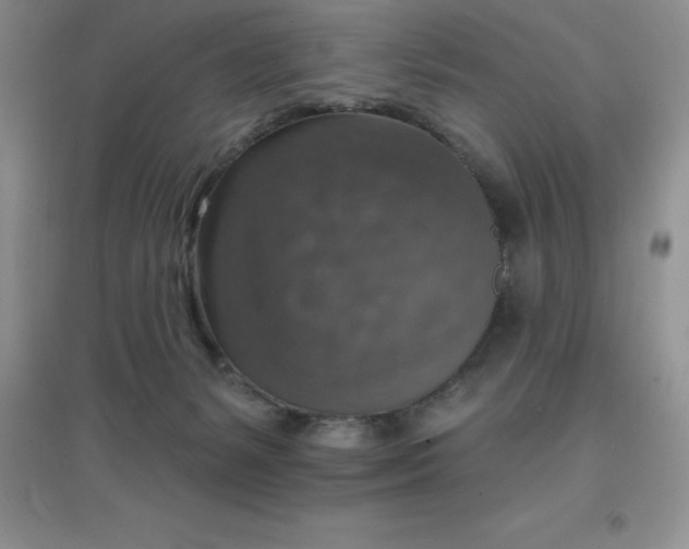 X0000097670127200803142203