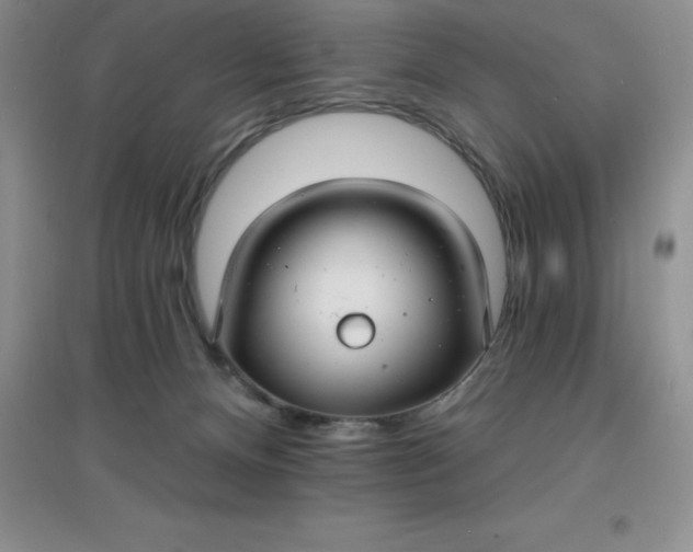 X0000097670128200803142203