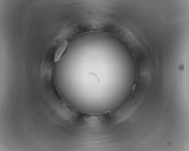 X0000097670129200803142203
