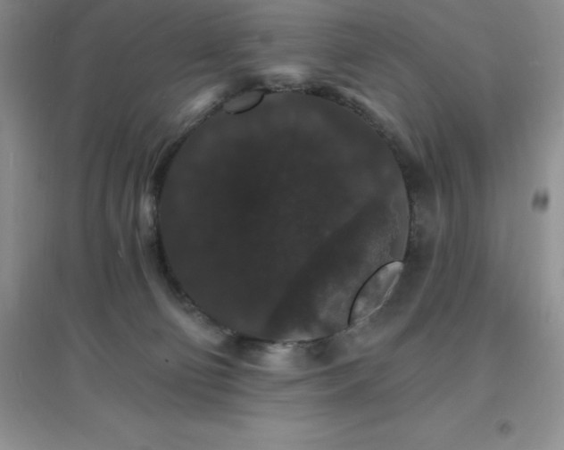 X0000097670130200803142203