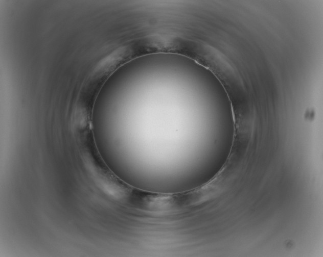 X0000097670132200803142203