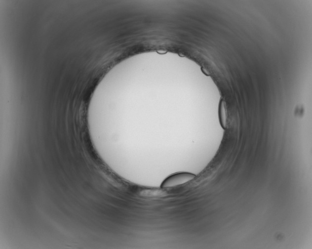 X0000097670133200803142203