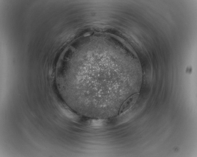 X0000097670134200803142203