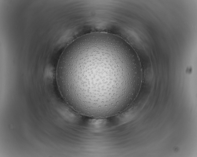 X0000097670135200803142203