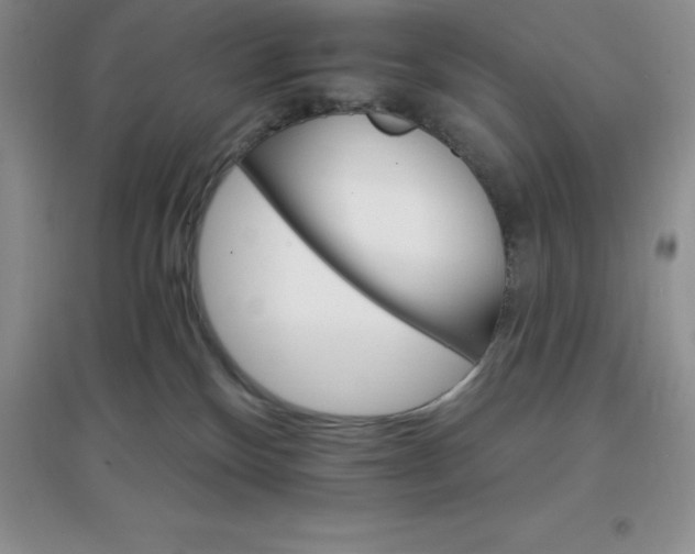 X0000097670136200803142203