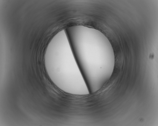 X0000097670137200803142203