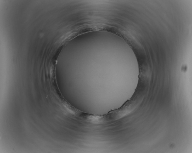 X0000097670139200803142203