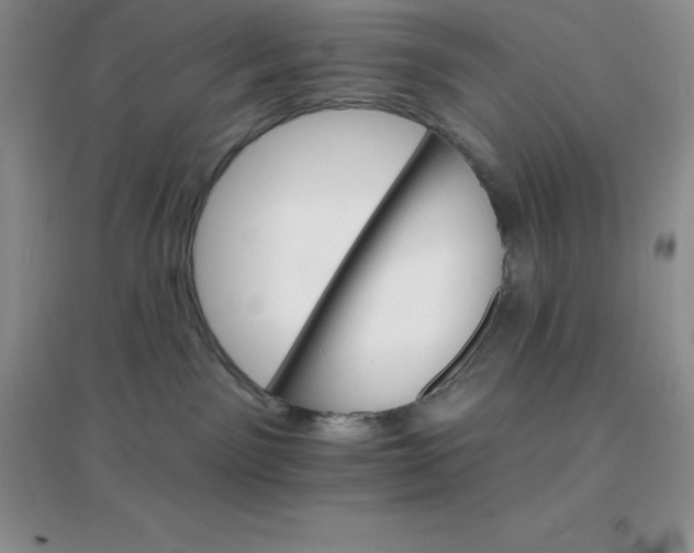X0000097670141200803142203