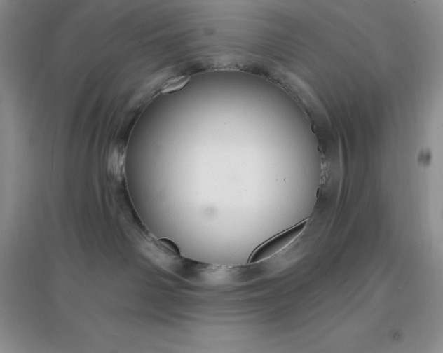 X0000097670142200803142203