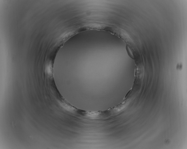 X0000097670143200803142203