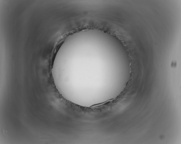 X0000097670144200803142203