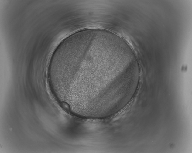 X0000097670145200803142202