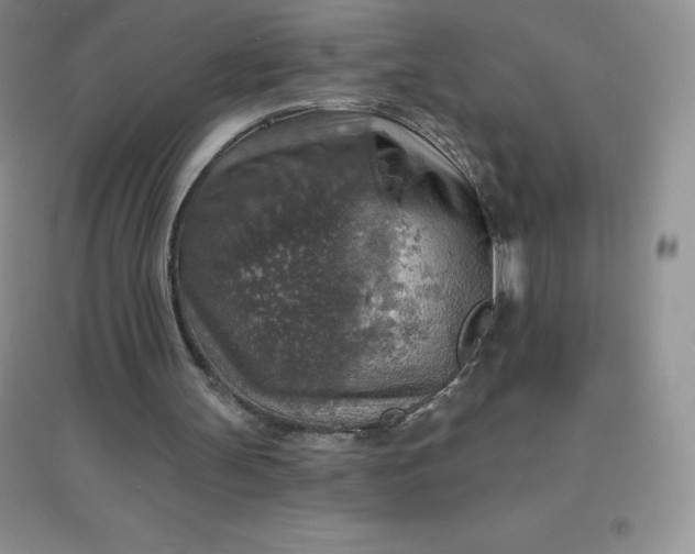 X0000097670147200803142202