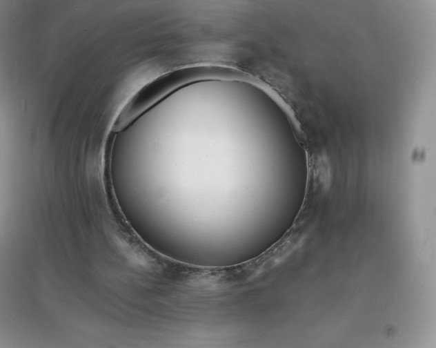 X0000097670148200803142202