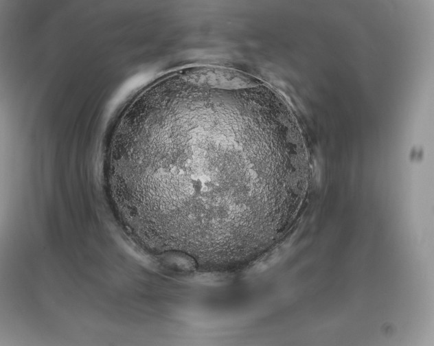 X0000097670149200803142202