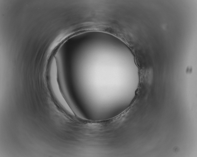X0000097670150200803142202