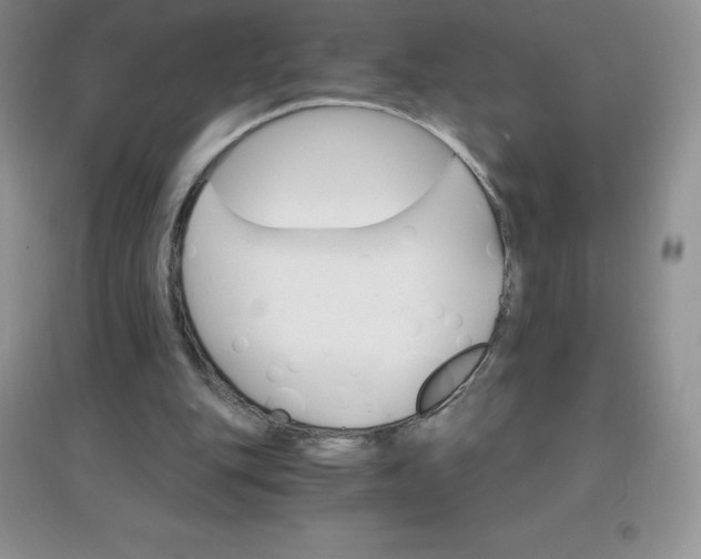 X0000097670151200803142202
