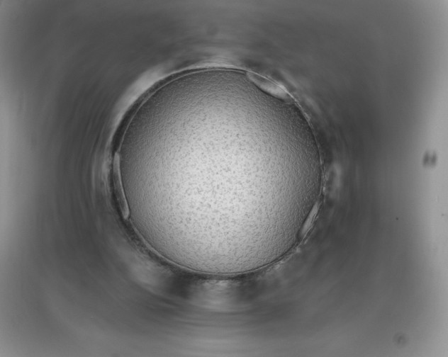 X0000097670152200803142202