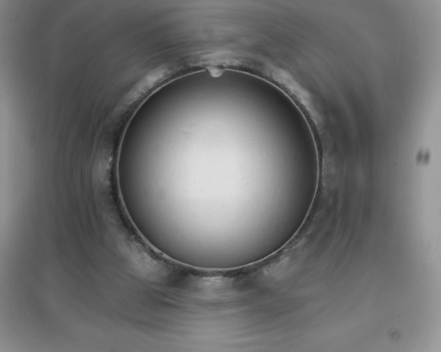 X0000097670153200803142202