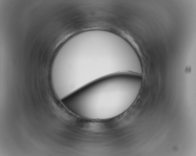 X0000097670154200803142202
