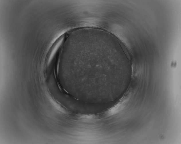 X0000097670156200803142202