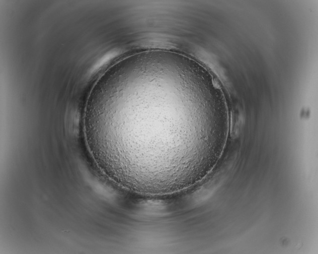 X0000097670157200803142202