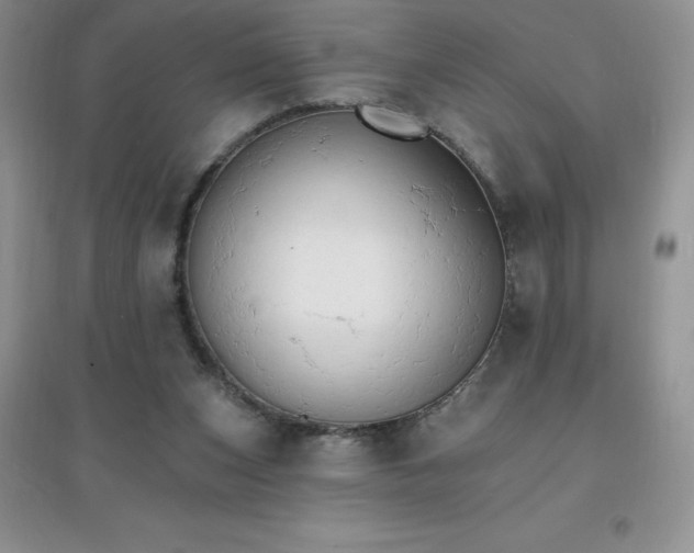 X0000097670159200803142202