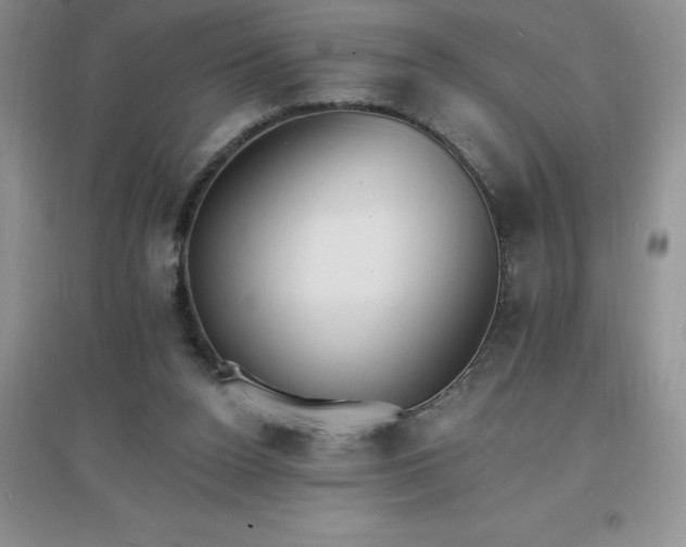 X0000097670160200803142202