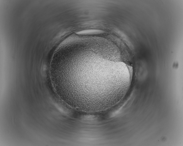 X0000097670161200803142202