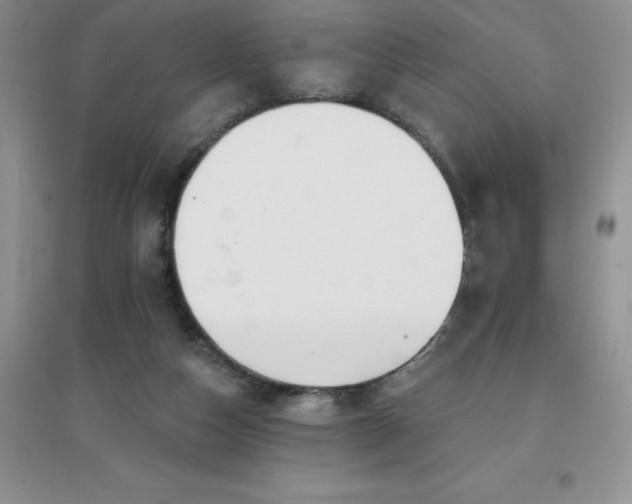 X0000097670162200803142202